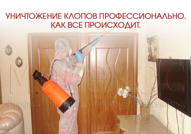 Уничтожение клопов профессионально в Дзержинском