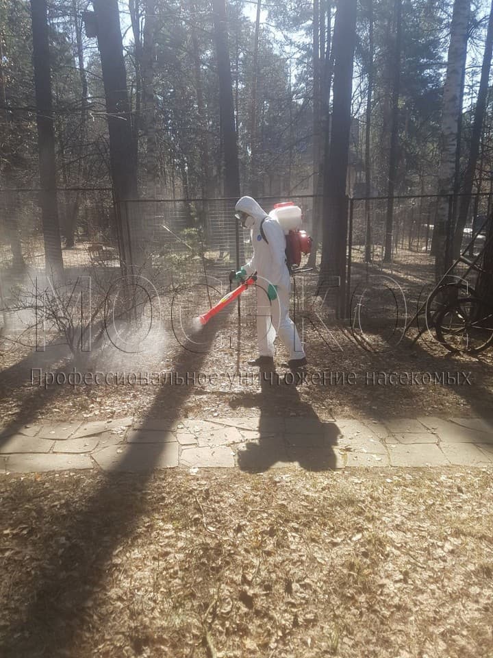 Уничтожение клещей на участке в Дзержинском