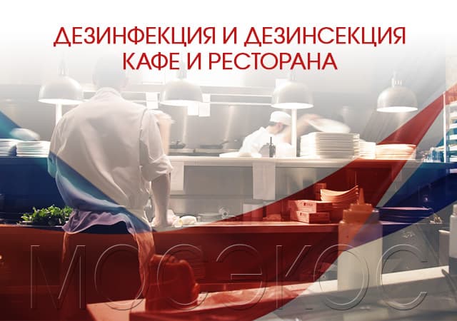 Дезинсекция предприятия общественного питания в Дзержинском