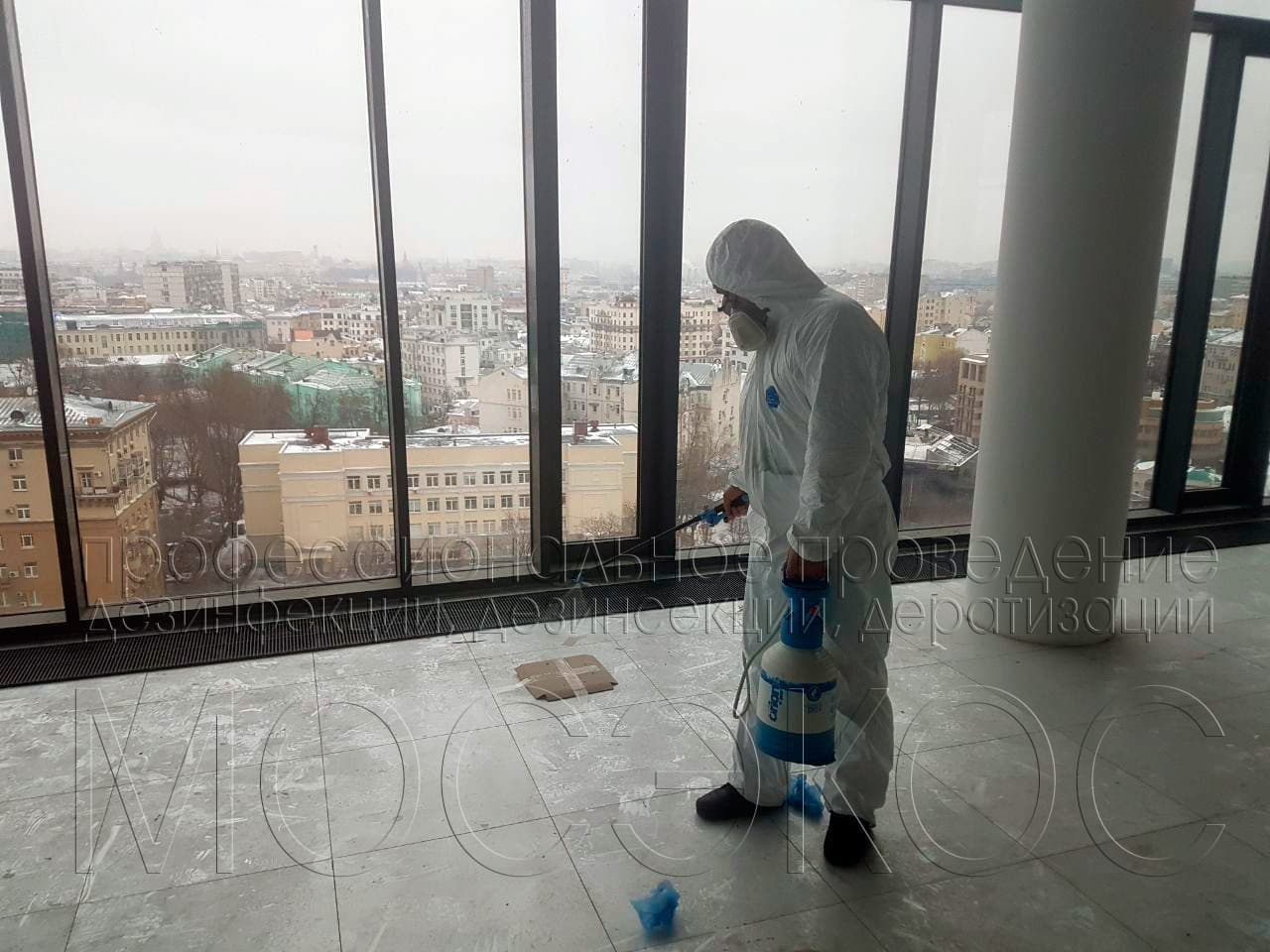 Дезинсекция квартиры от клопов службой СЭС Дзержинского