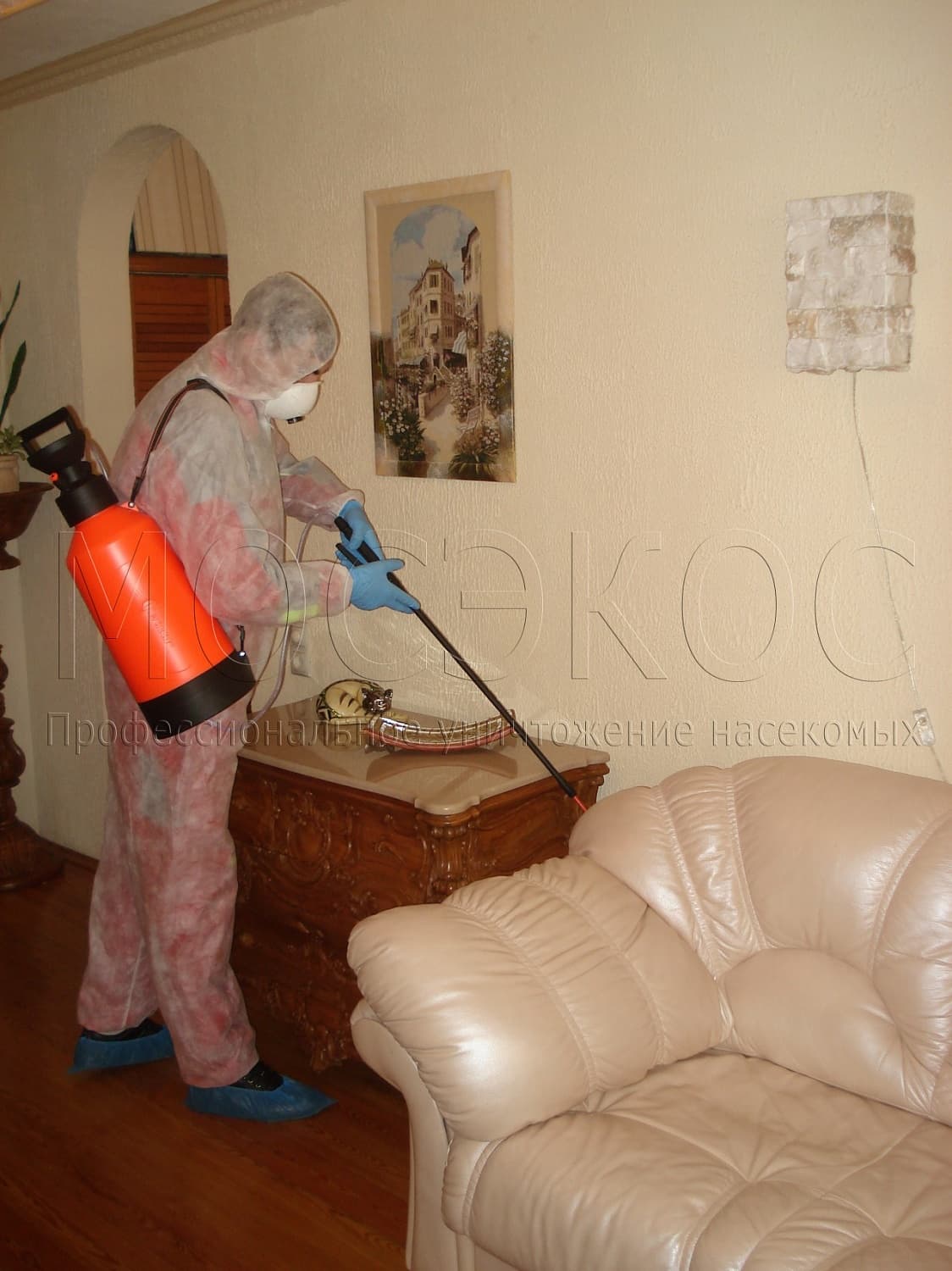 Клопы дома: как избавиться от паразитов в Дзержинском